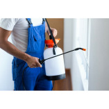 Best Pest Control Fremantle