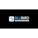 BluBird Marketing Services