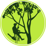 Tree Top Climbers MN, Inc