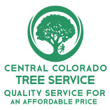 central colorado tree service