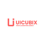 UI Cubix