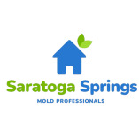 Mold Remediation Saratoga Springs Experts