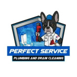 The Perfect Service Plumbing and Drain Cleaning