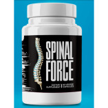 Spinal Force