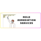 Boca Raton Mold Remova Experts