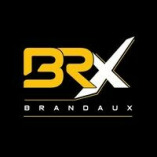 BrandAux Smart Business Solutions