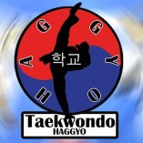 Taekwondo Regensburg logo