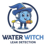 Water Witch Leak Detection