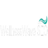 WellnessWave SEO