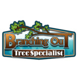 Branching Out Tree Specialist