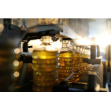 Palm Oil Netherlands