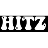 Hitz disposable review