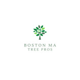 Boston MA Tree Pros