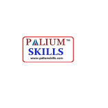 PALIUM SKILLS