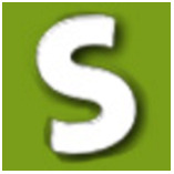 Fahrschule S & S Inh.Ch.Sauer logo