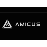 Amicus International Consulting