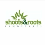 Shootsandrootswales