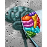 IN Focus First, Psychiatry Simplified.