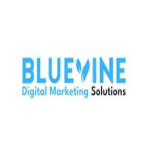 BlueVine Digital Marketing Solutions
