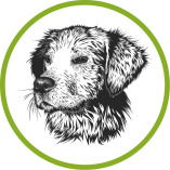 Hundefutter Vital logo