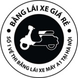 Bằng lái xe giá rẻ