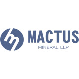 Mactus Mineral LLP