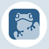 FrogTime