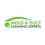 Mold and Duct Cleaning Experts