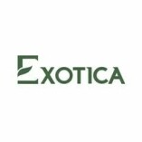 Exotica Flower Shop Dubai