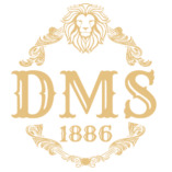 DMS VILLA logo