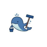 Whale Pro Clean LLC