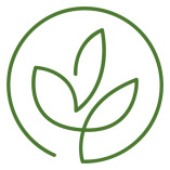 Dr. Friederike Feil Akademie