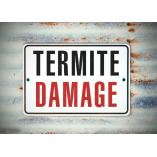 Palo Verde Termite Experts