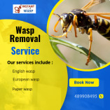 Wasp Removal Brooklyn