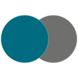 Plog & Tönnies Wirtschaftsprüfer Steuerberater PartG mbB logo