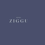 Ziggucamp Ltd