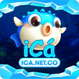 icanetco