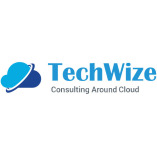 Techwize