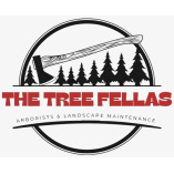 The Tree Fellas Midlands Ltd