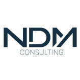 NDM Consulting GmbH logo