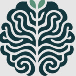 Hopeful Minds Mental Health Clinic