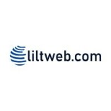 LiltWeb - Professional Web Design Services