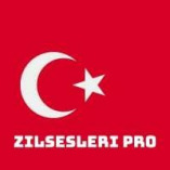 zilsesleripro