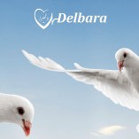 Delbara.com