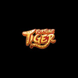 tigre fortune