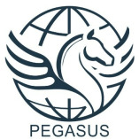pegasushorseflights