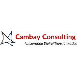 Cambay Consulting