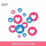 SMO Service in Noida