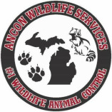 Ancon Wildlife Services