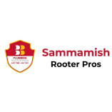 Sammamish Plumbing, Drain and Rooter Pros